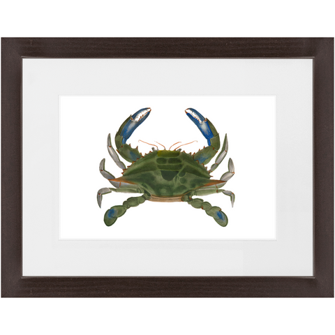 Blue Crab - Framed