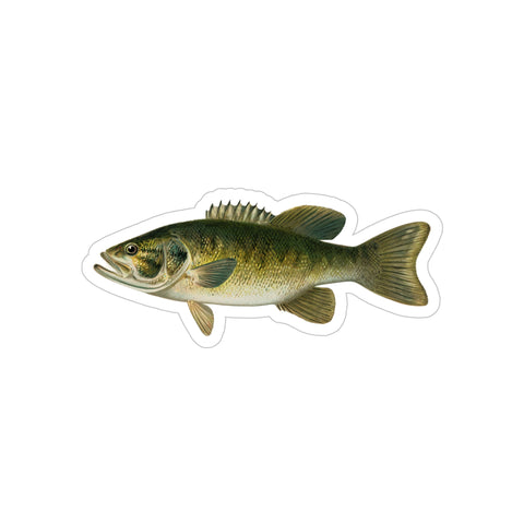 Smallmouth Bass - Decal