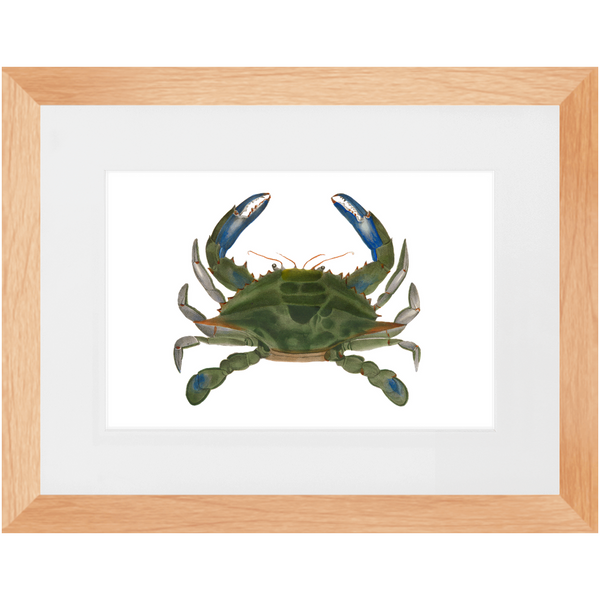 Blue Crab - Framed