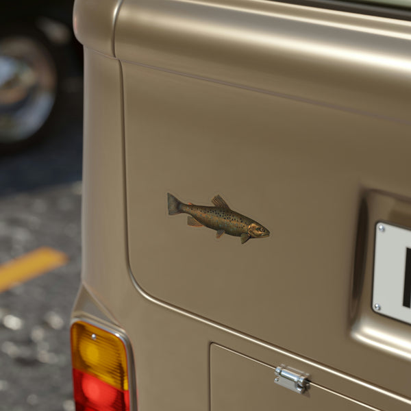 Brown Trout or German Trout - Decal