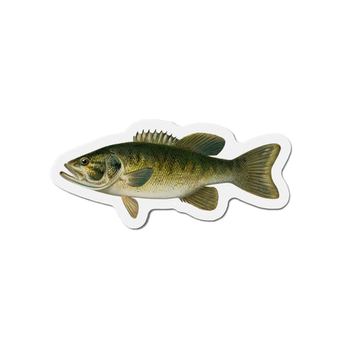 Smallmouth Bass - Magnet