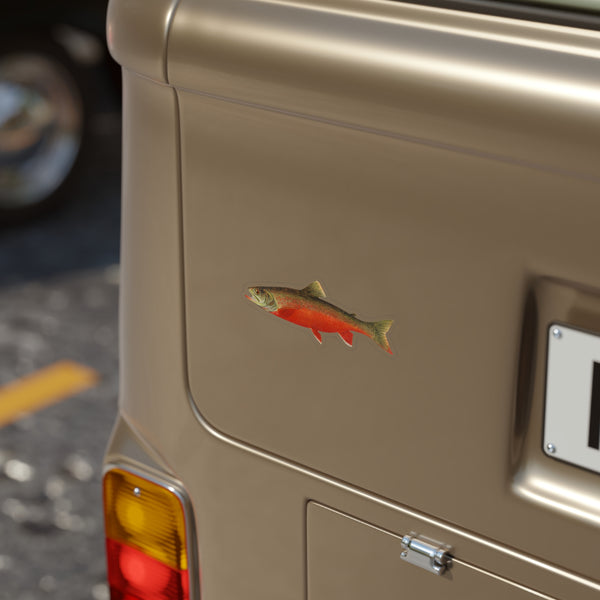 Canadian Red Trout - Decal