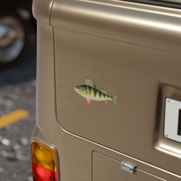 Yellow Perch - Decal