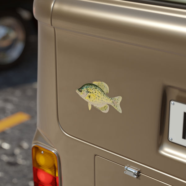 Calico Bass - Decal