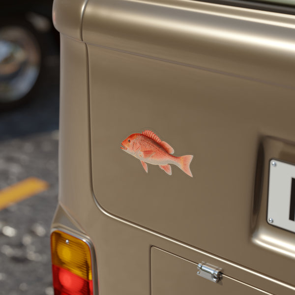 Red Snapper - Decal