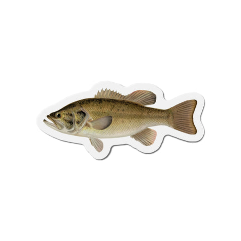 Largemouth Bass - Magnet