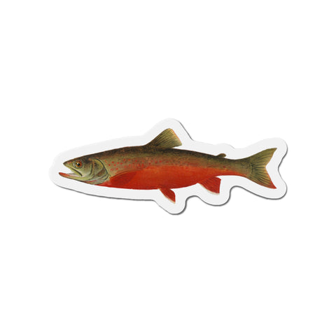 Canadian Red Trout  - Magnet