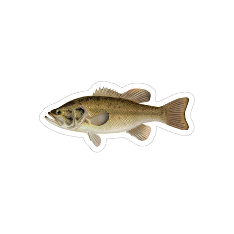 Largemouth Bass - Decal