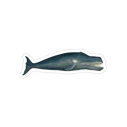 Bowhead Whale - Decal