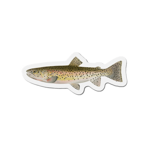 Red Throat Black Spotted Trout - Magnet