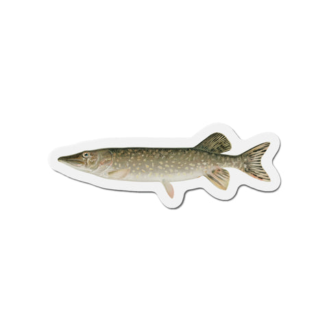Northern Pike - Magnet