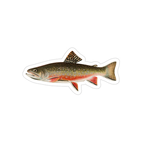 Brook Trout - Decal