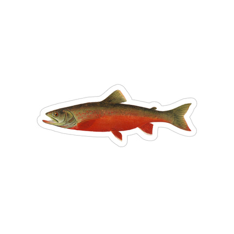 Canadian Red Trout - Decal