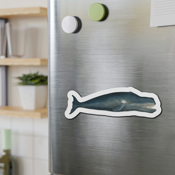 Bowhead Whale - Magnet