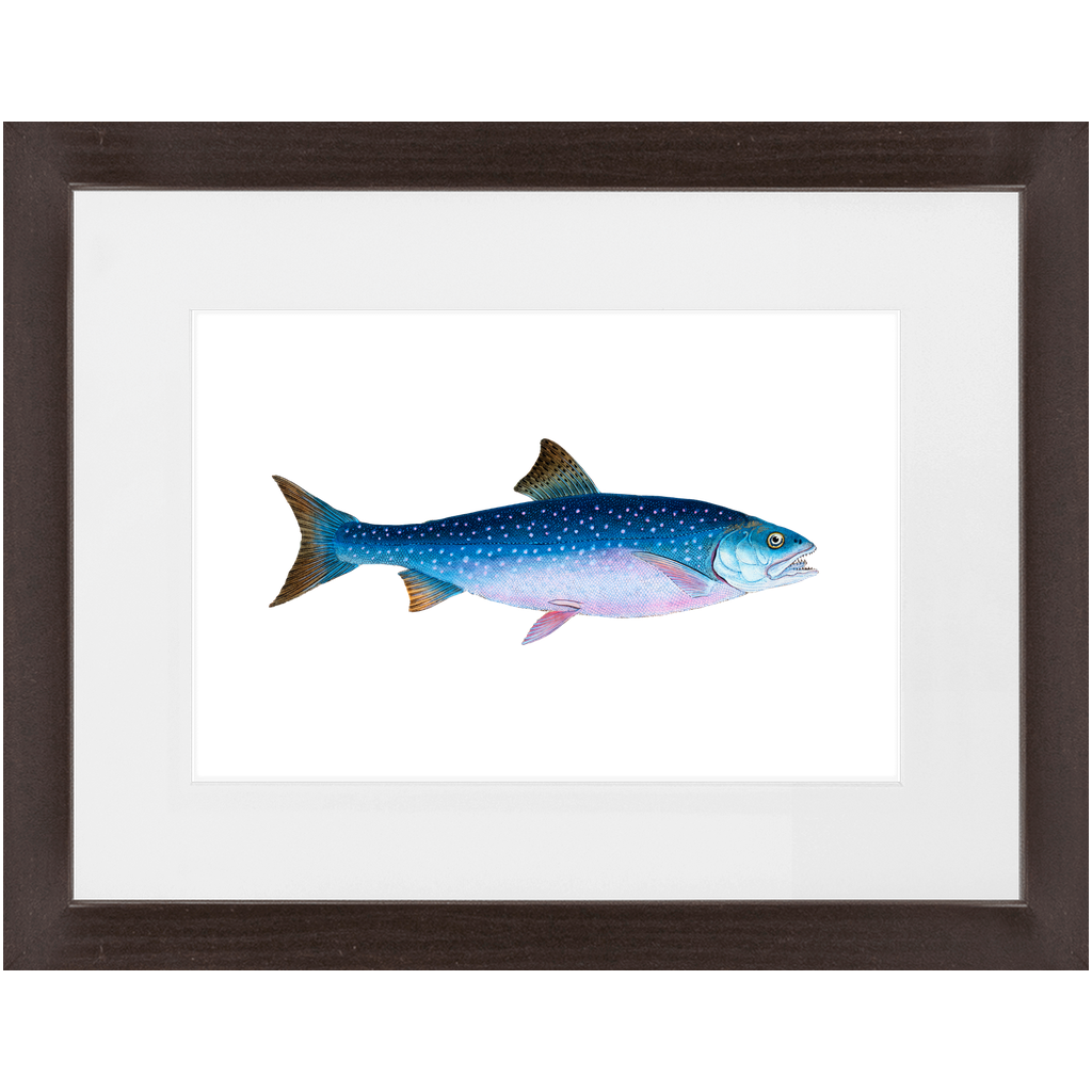 Products – Vintage Fish