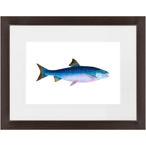 Alpine Char - Framed