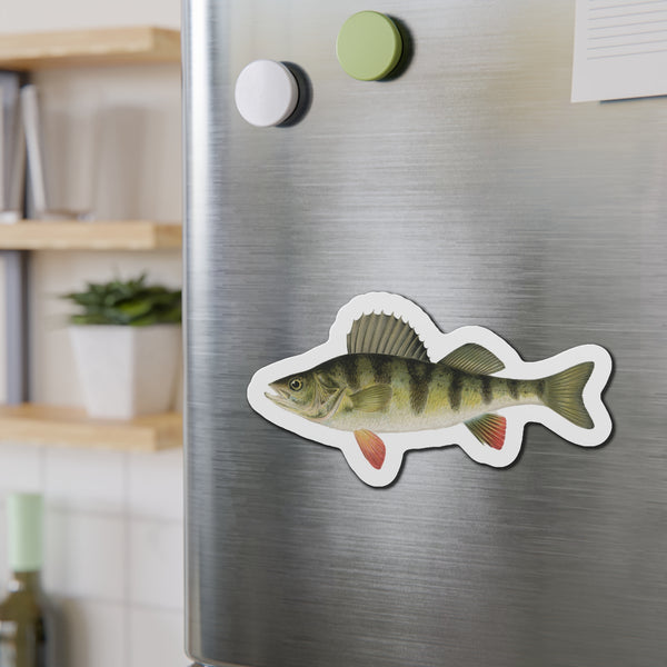 Yellow Perch - Magnet