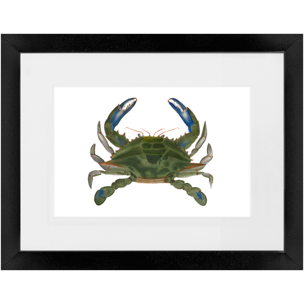 Blue Crab - Framed