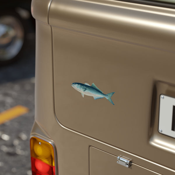 Bluefish - Decal