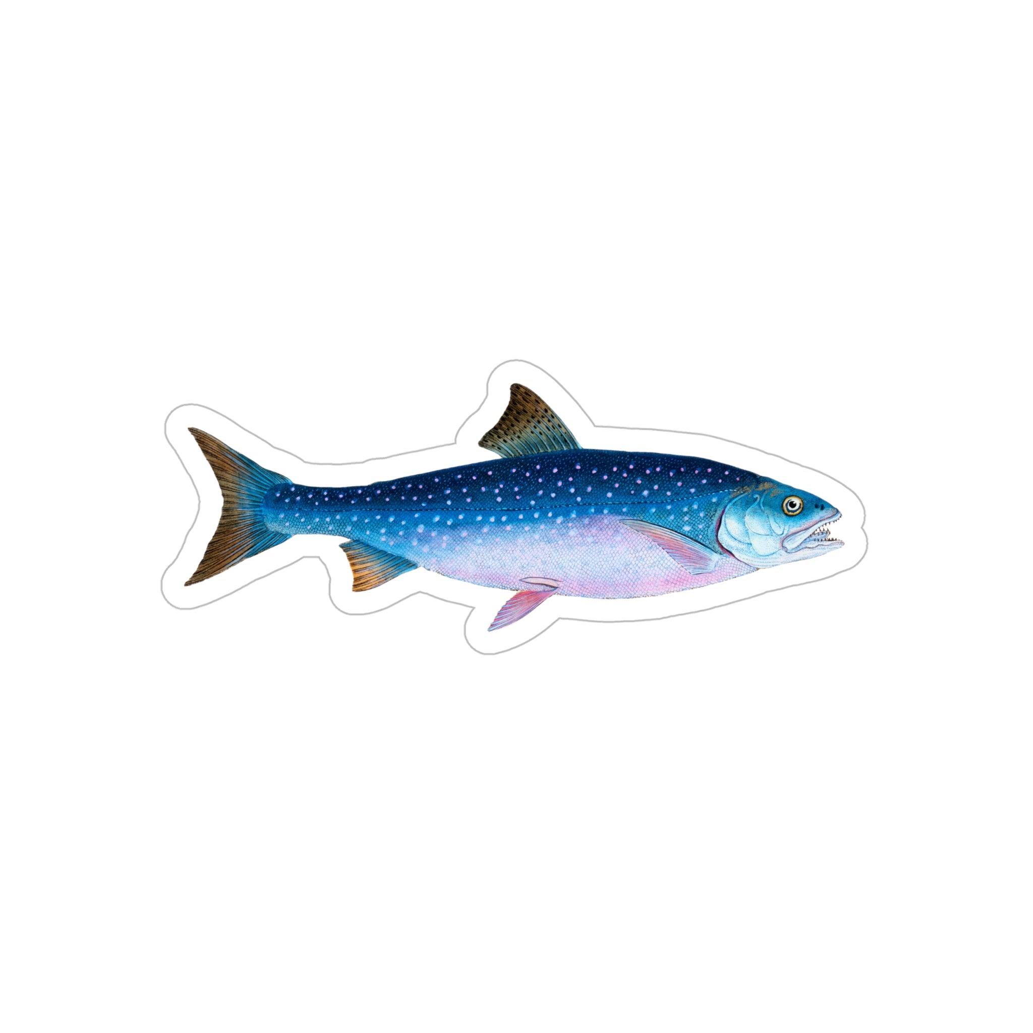 Products – Vintage Fish