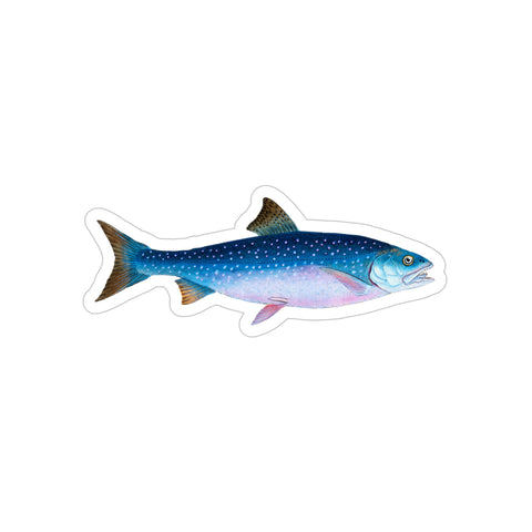 Alpine Char - Decal