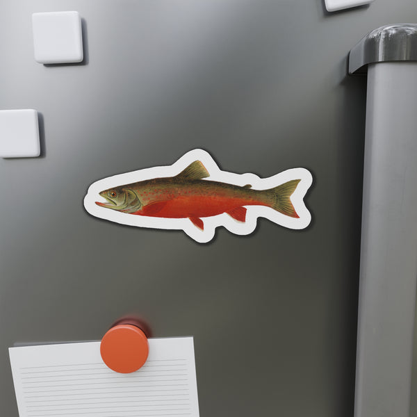 Canadian Red Trout  - Magnet