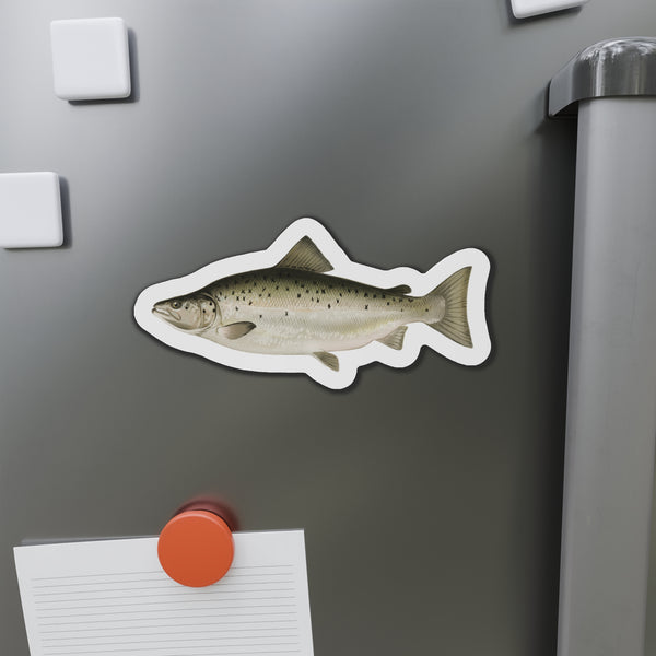 Landlocked Salmon / Ouananiche  - Magnet