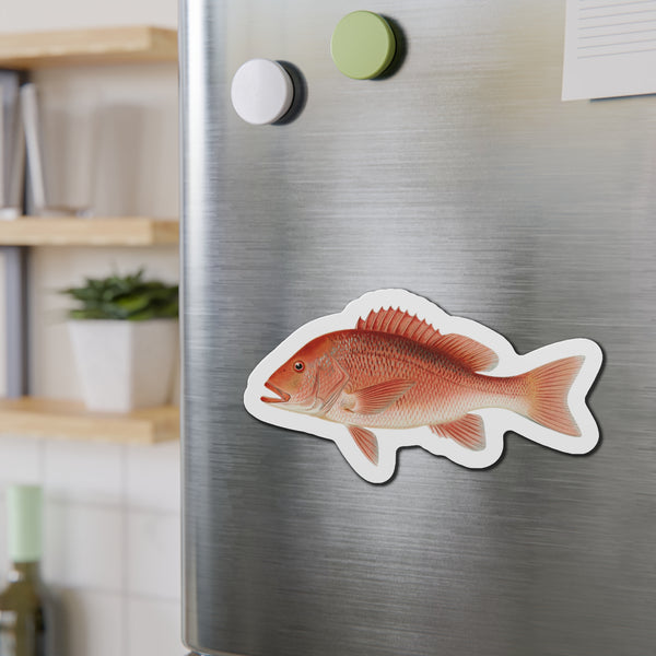 Red Snapper - Magnet