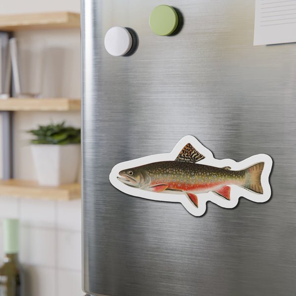Brook Trout - Magnet