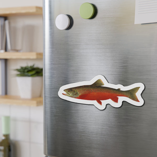 Canadian Red Trout  - Magnet
