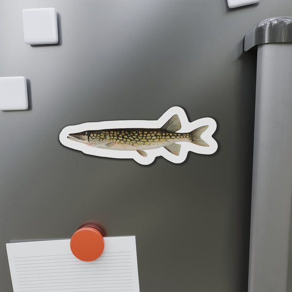 Pickerel - Magnet