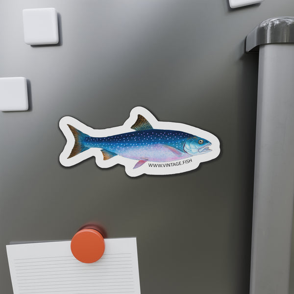 Alpine Char - Magnet
