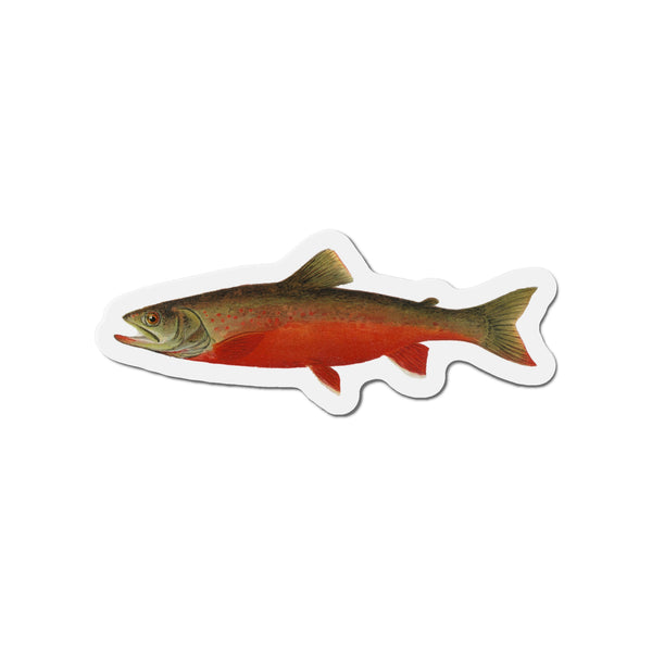 Canadian Red Trout  - Magnet