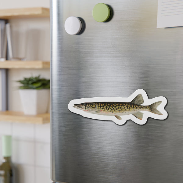 Pickerel - Magnet