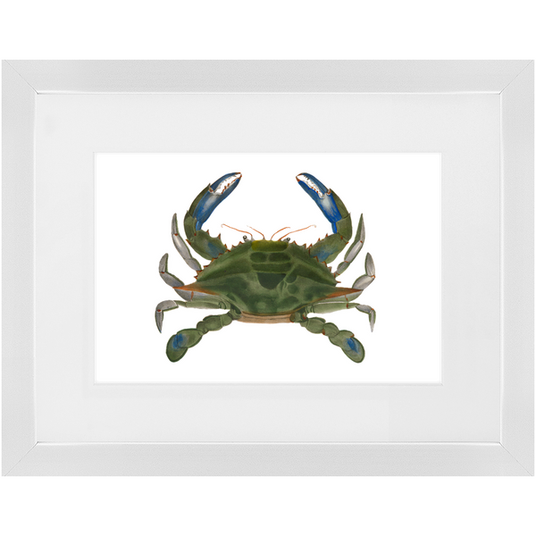 Blue Crab - Framed