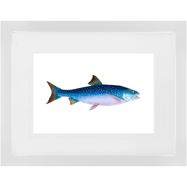 Alpine Char - Framed