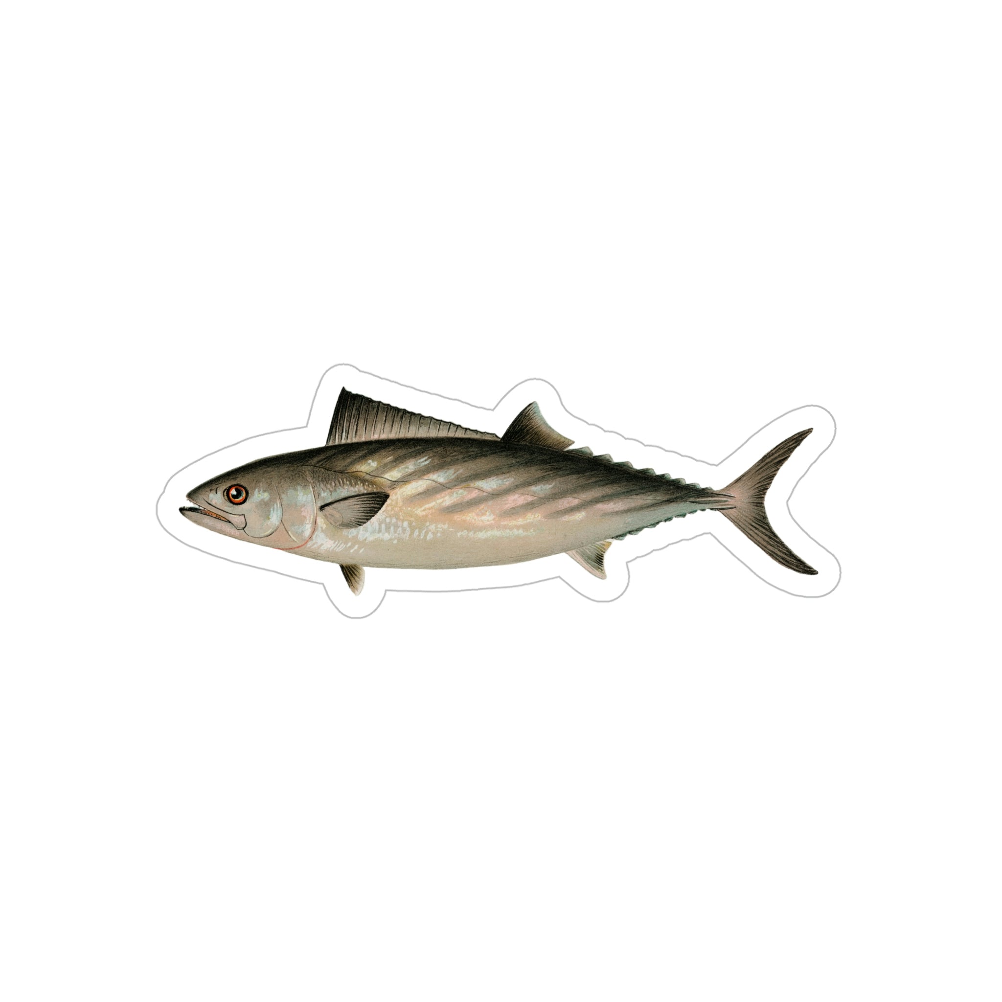 Products – Vintage Fish