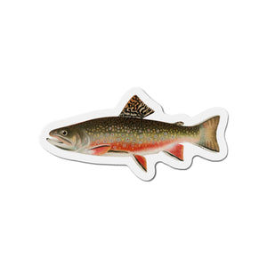 Brook Trout - Magnet