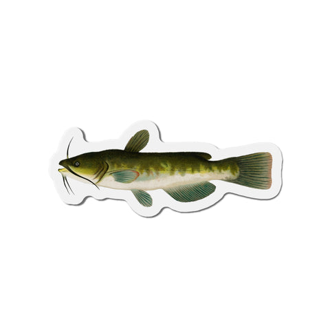 Bullhead - Magnet