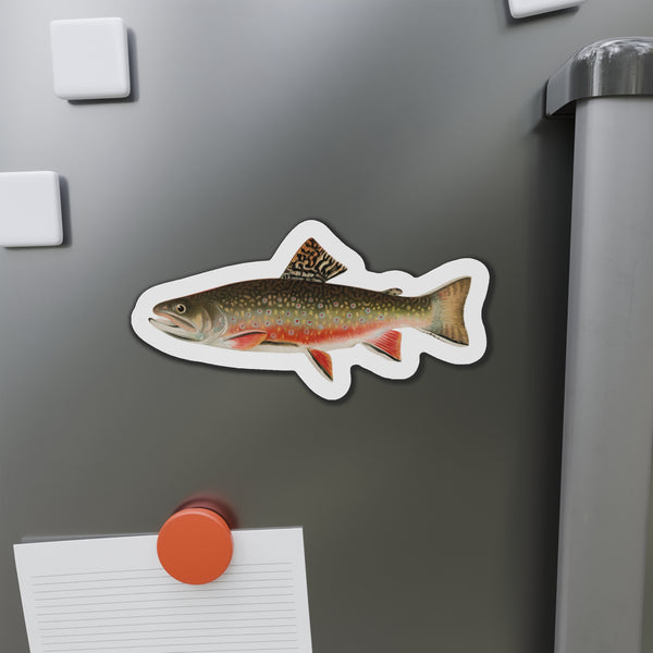Brook Trout - Magnet