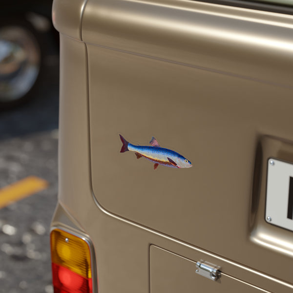 Salvelian Charr - Decal