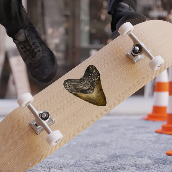 Megalodon - Decal