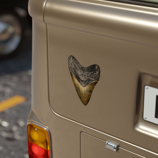 Megalodon - Decal