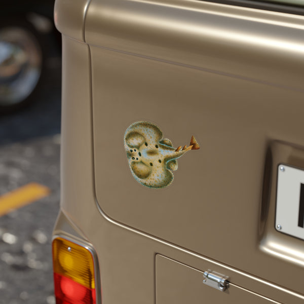Electric Ray - Decal