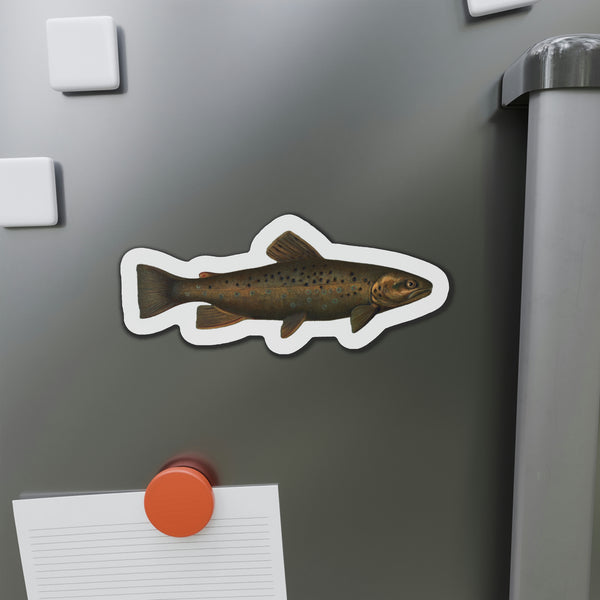Brown Trout or German Trout - Magnet