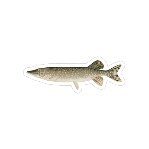 Northern Pike - Decal